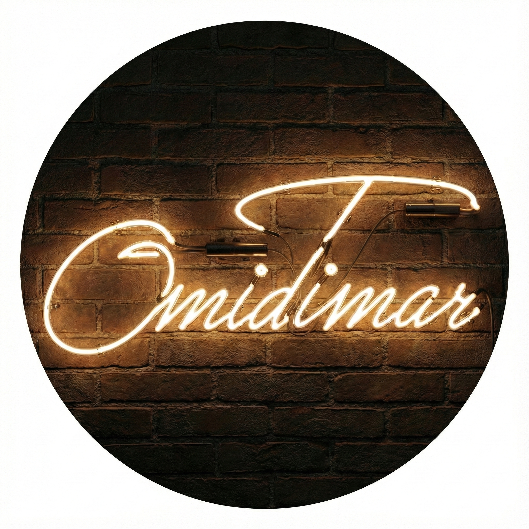 logo Omid timar